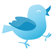 Twitter Plugins for WordPress