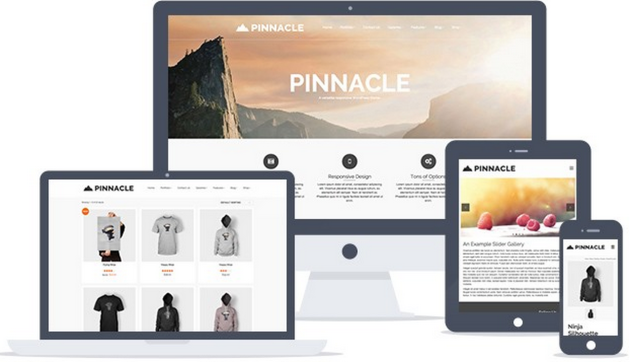 pinnacle-multilingual-theme