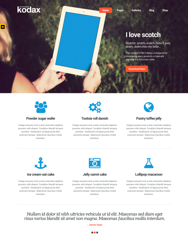 Kodax-landing-page-theme