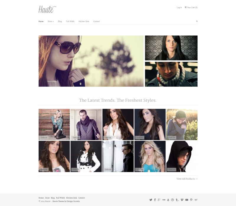 affiliate-themes-Haute