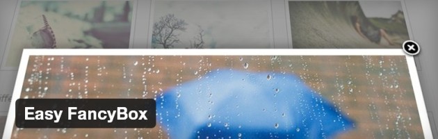 lightbox-plugins-easy-fancybox