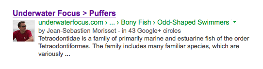 Example of Google Search result 