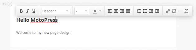 WordPress Text Editor