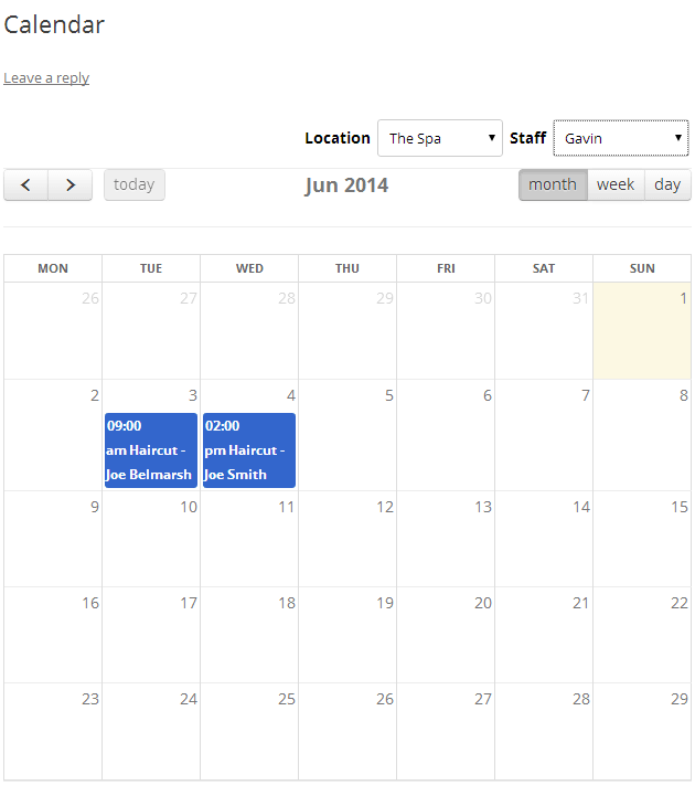 BirchPress Review Public Calendar