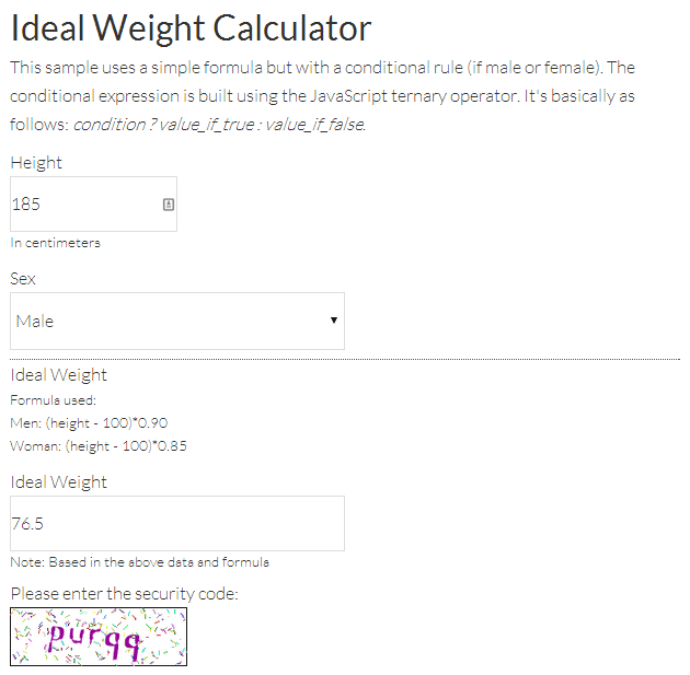 Calculated Fields Form Preview