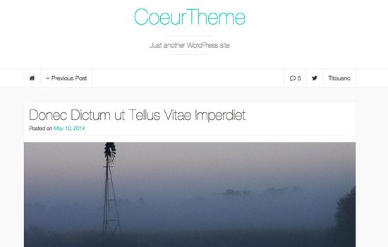 beautiful-WordPress-themes-for-nice-startups12