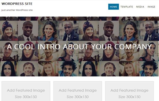 beautiful-WordPress-themes-for-nice-startups19