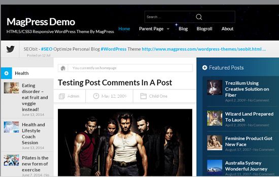 beautiful-WordPress-themes-for-nice-startups9