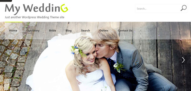 revamp_your_wordpress_site_with_20_new_options11