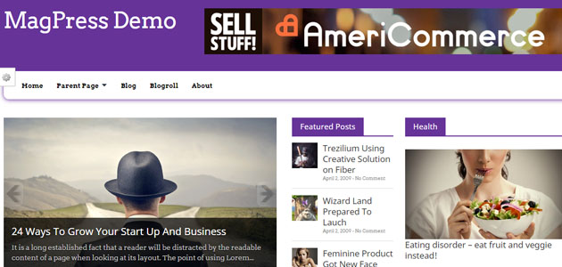 revamp_your_wordpress_site_with_20_new_options13