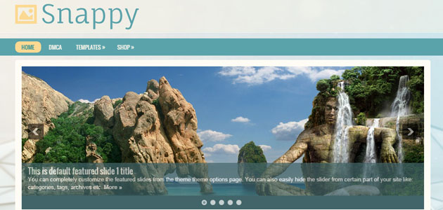 revamp_your_wordpress_site_with_20_new_options17