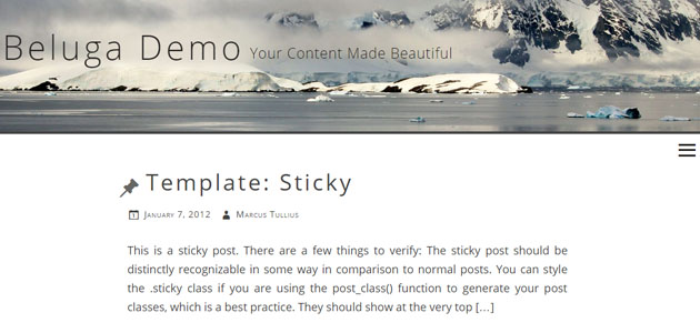 revamp_your_wordpress_site_with_20_new_options5