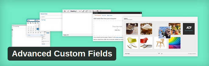advanced custom fields
