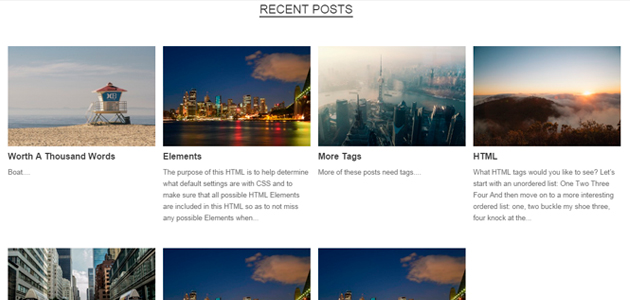 Seller: woocommerce theme for online stores