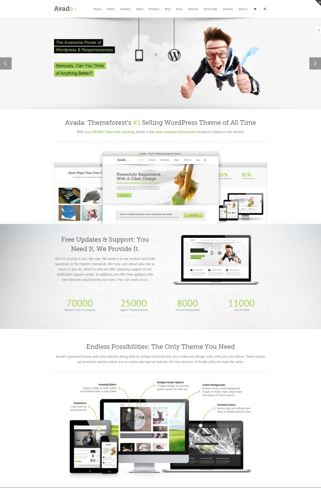 selling-product-themes-avada