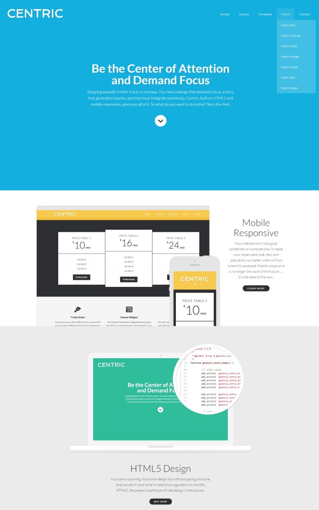 selling-product-themes-centric