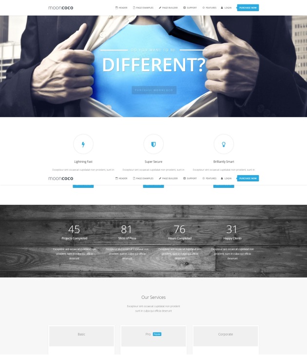selling-product-themes-mooncoco