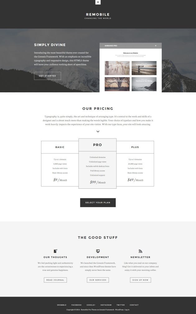 selling-product-themes-remobilepro