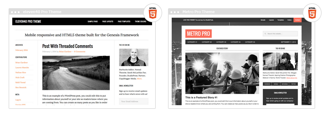 wordpress themes