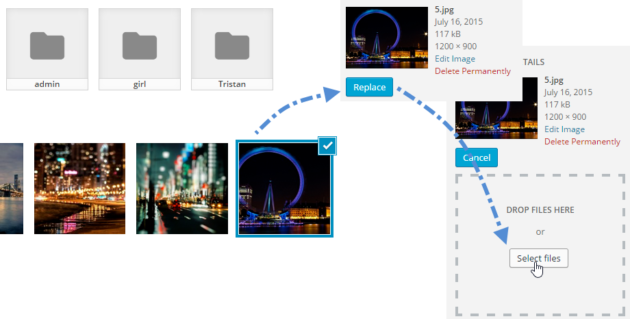 Image Override 