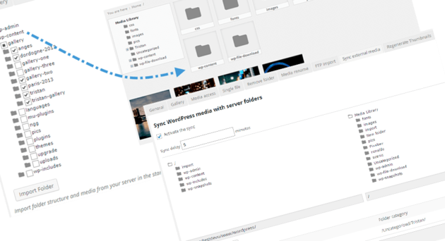 Import & Sync