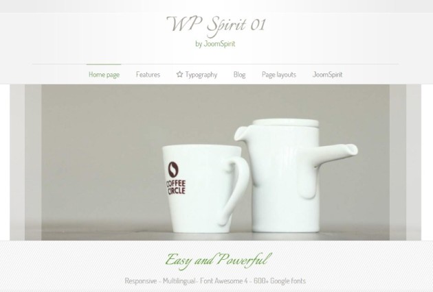 WPspirit-01