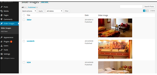 DM WP SLIDER Plugin