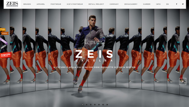 zeisexcelsa