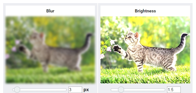 CSS Filter Effects Online Generator