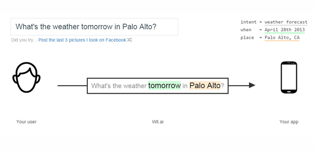 Wit: Human to Machine Language for Developers