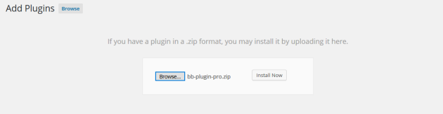 Installation of Beaver Builder