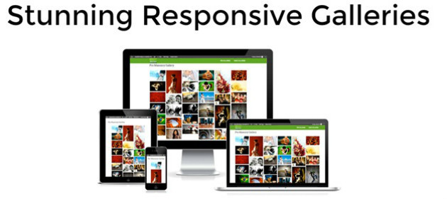 NextGen Gallery Plugin