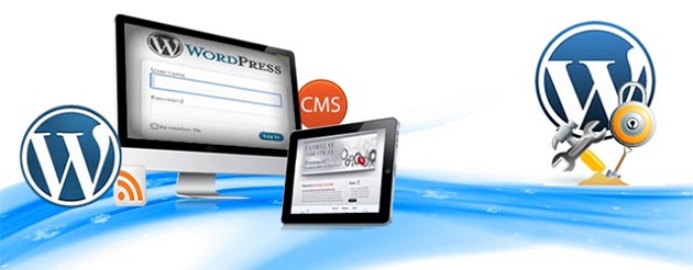 wordpress cms