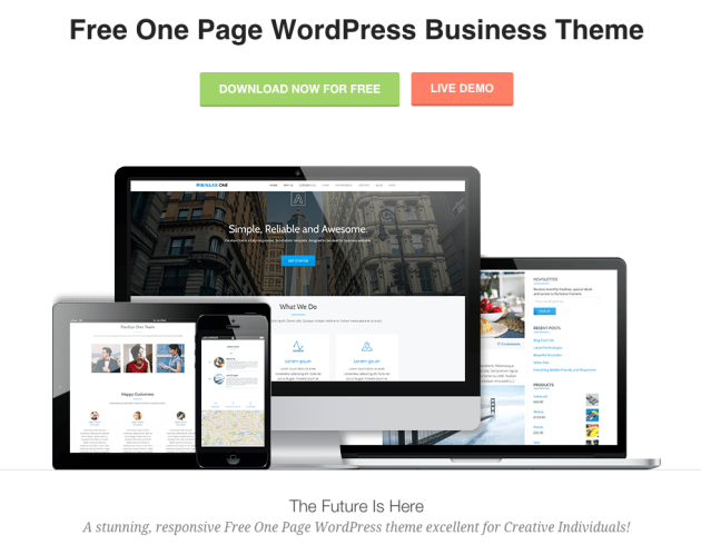 Parallax One WordPress Theme Review