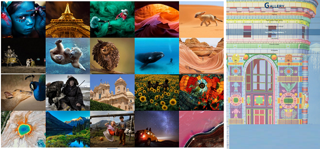 portfolio- theme