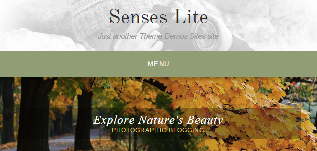 Senses Lite: Clean Blogging WordPress Theme
