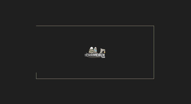 teamleschameaux