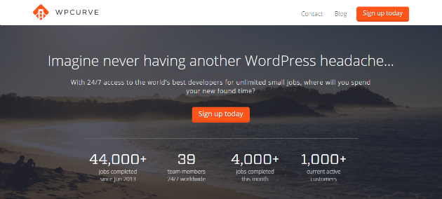 An image showing the WPCurve homepage.
