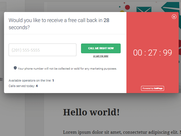 Callpage Widget Pop-up