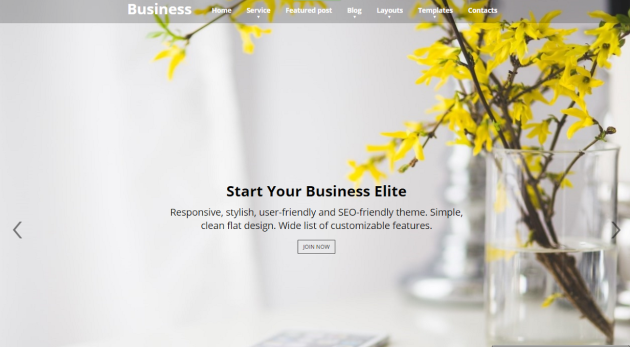 business elite theme