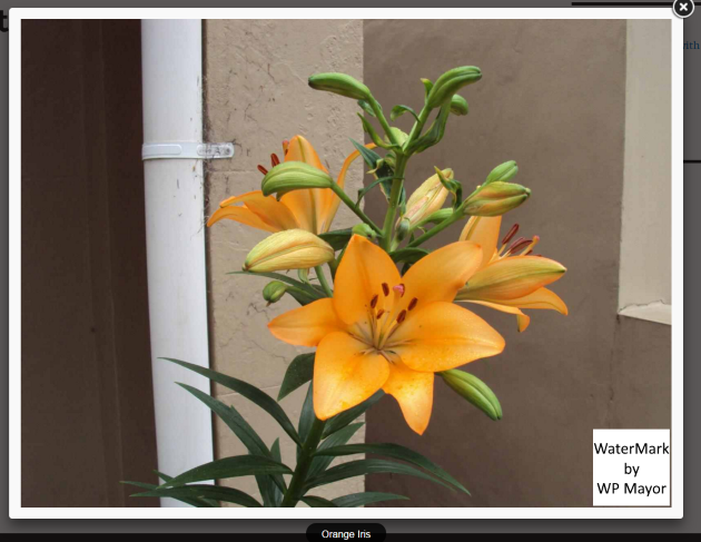 Watermarking example