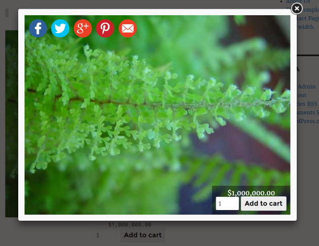 WooCommerce example