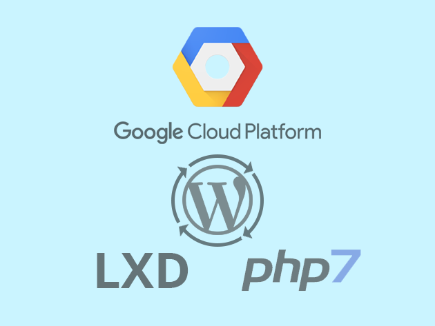 Kinsta hosting environment