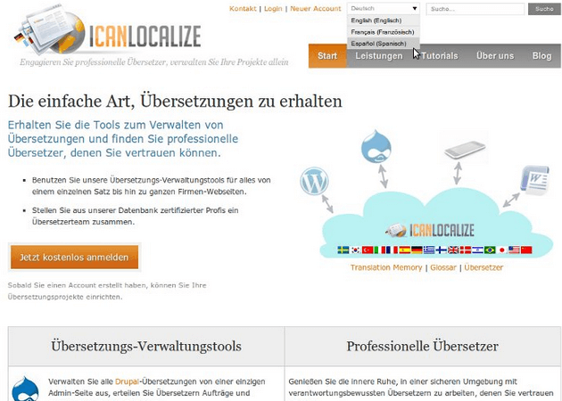 WPML - Translated Website