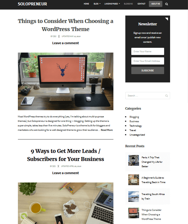 Solopreneur