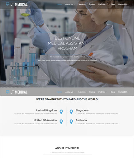 LTMedical wp theme
