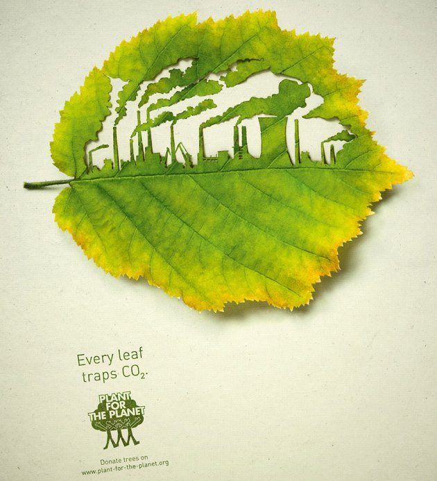 leaf