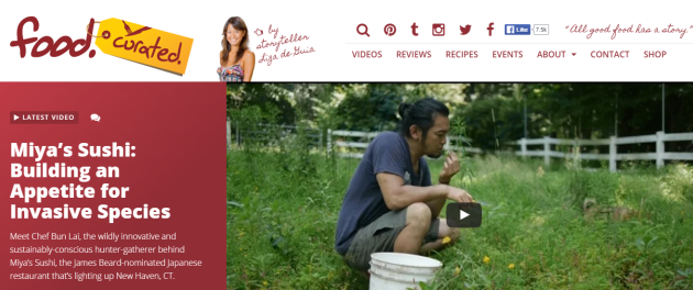 Food Curated