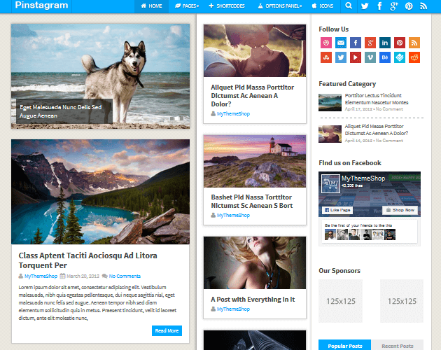 pinstagram-wordpress-curation-themes