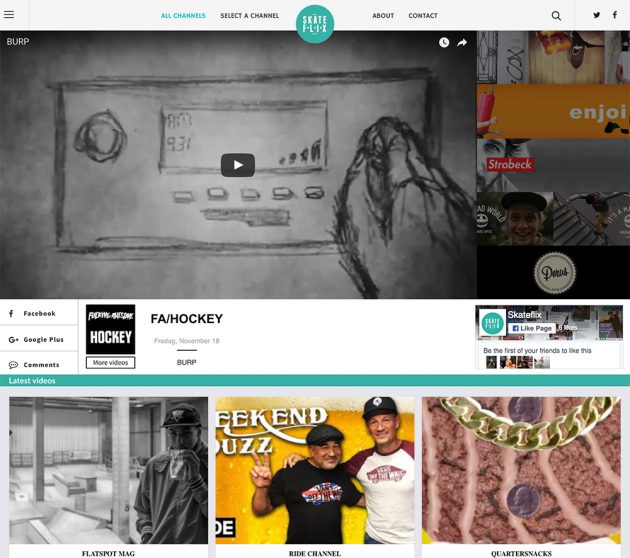 skateflix-1000